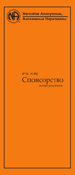 IP № 11 